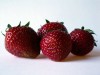 Erdbeeren 2/2